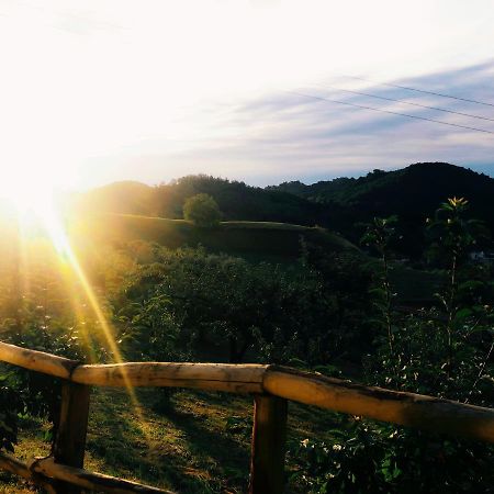 马洛斯蒂卡Agriturismo Al Ciliegio别墅 外观 照片