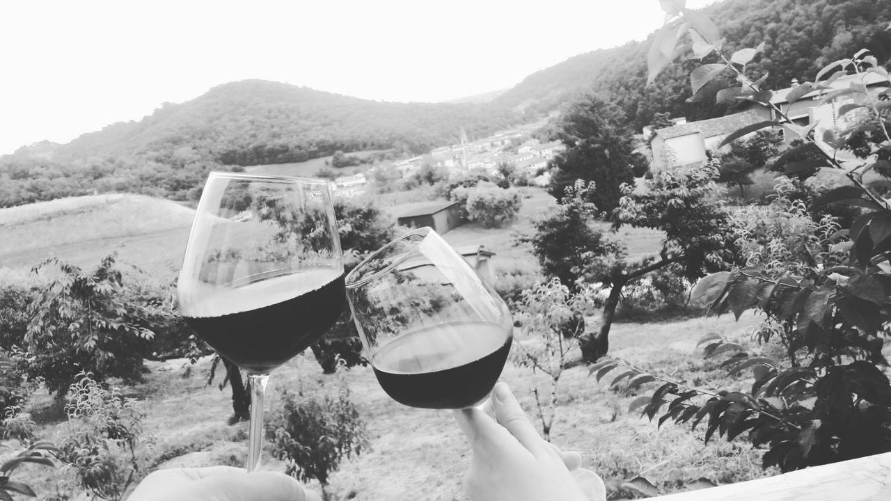 马洛斯蒂卡Agriturismo Al Ciliegio别墅 外观 照片