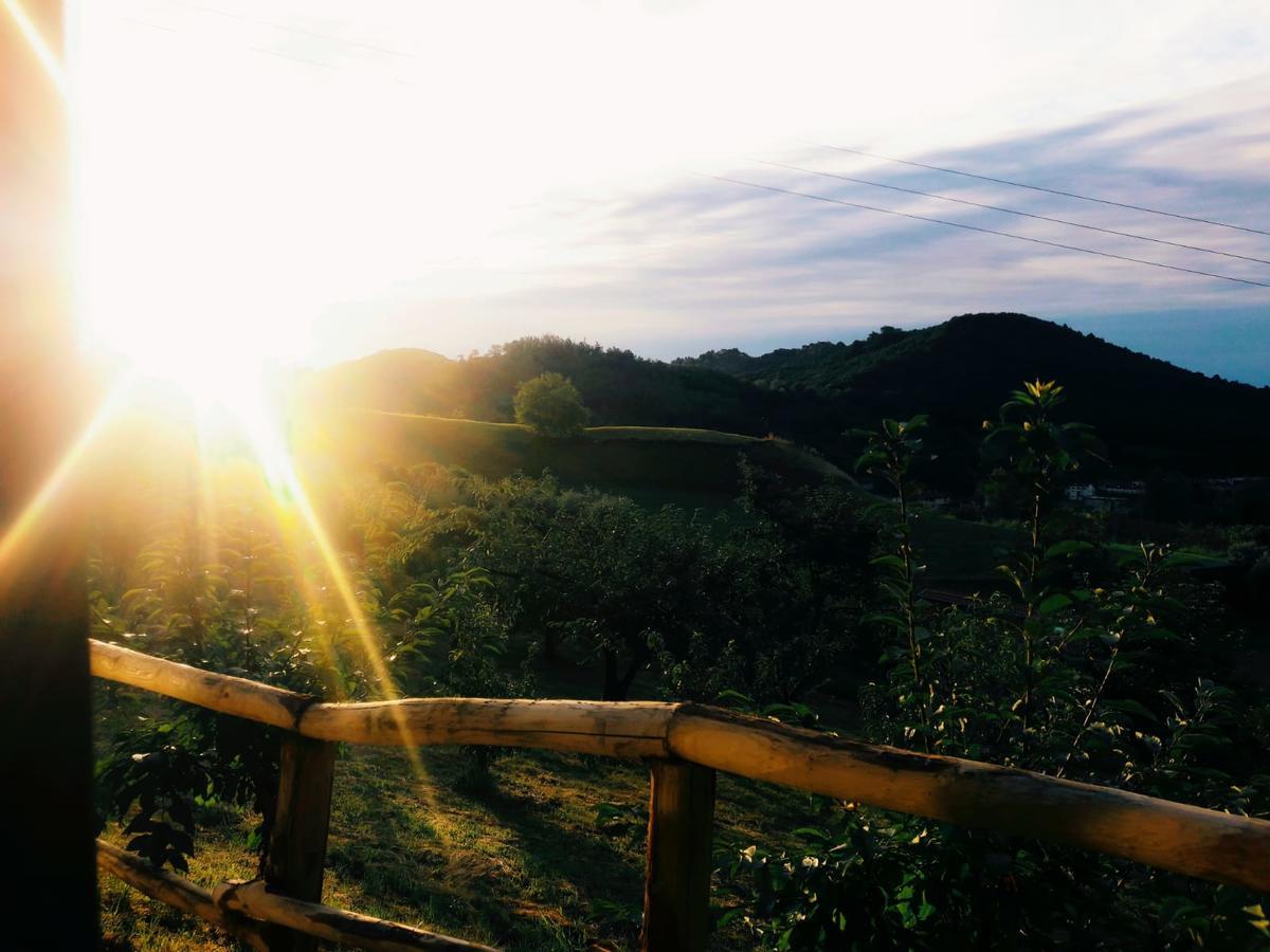 马洛斯蒂卡Agriturismo Al Ciliegio别墅 外观 照片
